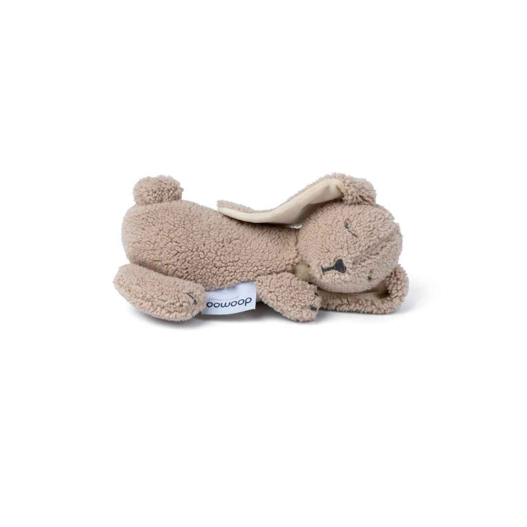 #Forme_Bunny Biscuit