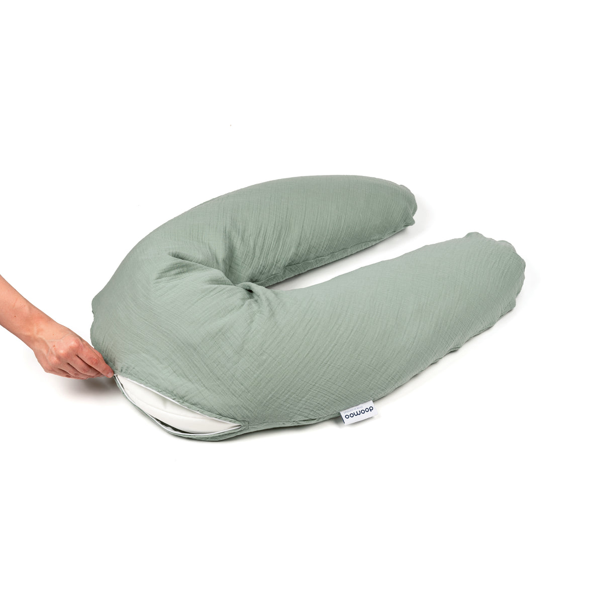 #Couleur_Tetra Green